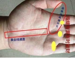 這樣手相的人最合適當官