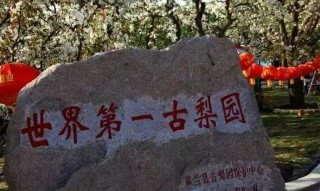 方便！蘭州40餘個旅遊景點“直通車”來了！