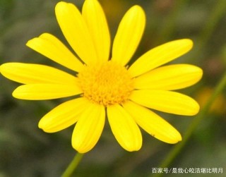 今年頭三個月，機會滿天飛，財運好到爆的3星座，求財路暢通無阻