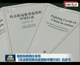 詆毀抗疫不符合人類文明，這得有多無恥才能說出這話