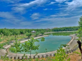 大荔縣新茂天地源生態農場“吃喝玩樂”的旅遊文化