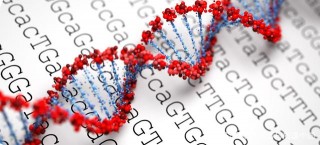 Orbitrap超高分辨率質譜輔助揭開Z基因組生物合成通路的面紗
