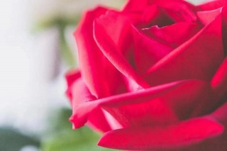 5月下旬桃花運最旺的3星座，終於迎來驚喜，愛情甜甜蜜蜜