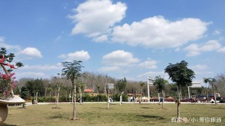 海南蓮花山文化景區，景區目前開放面積不大，遊覽車價格卻過貴