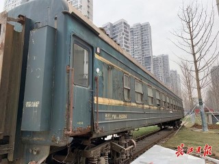 金黃銀杏配小兔子狼尾草，武昌生態文化長廊或成網紅打卡地