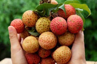 網評6種「最難剝皮的水果」，菠蘿算簡單的，第4種沒工具別想吃
