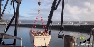 還有比這個地方更便宜的海鮮嗎？一百塊錢就能吃到撐！