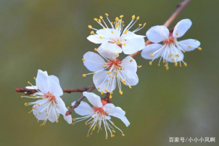 3天後偶遇良人的星座，放下矜持，放下防備，真心付出，兩情相悅