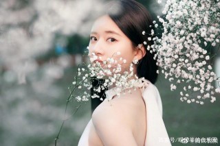 肖戰楊紫、楊洋趙露思、於朦朧李澤鋒、吳亦凡易烊千璽的娛樂消息