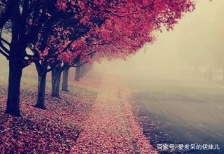 宋詞寫盡人生況味
