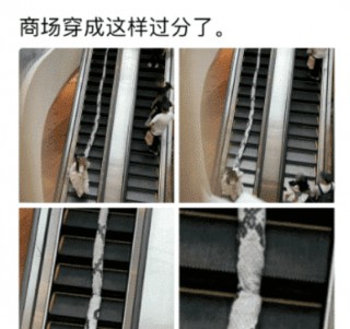 如果生物學上沒有生殖隔離，地球上會變成什麼樣子？