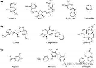 微生物所吳邊團隊在Biotechnology Advances發表微生物催化氮雜環合成的綜述