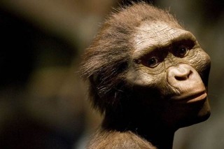 驚人事實：科學證明進化論是錯誤的，人類或誕生於外太空！
