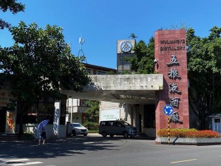 宜賓市北面的岷江之濱 有個舉世聞名的五糧液