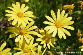 今後20天，擺脫黴運，天賜吉兆，與財運結緣，翻身發大財的3星座