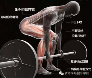 硬拉的7要點
