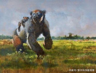 馬達加斯加巨型動物的消失，罪魁禍首是人類，還是氣候變化？