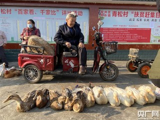 「文化扶貧在行動·四川篇」綿陽安州青松村的扶貧趕集日