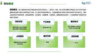 2020年德宏州重點招商引資項目——隴川縣電商綜合運營項目