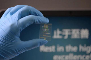 把漢字存入DNA！我國又一項技術取得重要突破！國際社會一片叫好