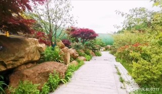六盤水梅花山獨特的氣候、民俗文化、山地特色、自然風光旅遊景觀