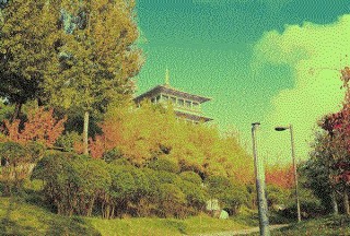 網友告白：初冬滻灞 迷人依舊