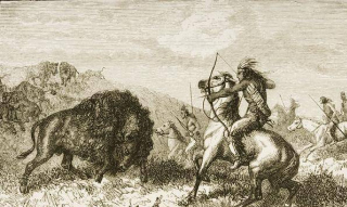 美洲發現甲骨文距今3300年，專家：商朝可能是印第安人祖先！