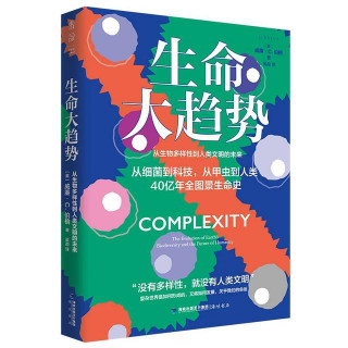 生命大趨勢 10｜人類文化的飛速發展