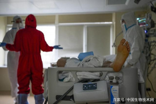 世衛：上周歐洲新增新冠病例增加了7%，美國報告最多，超過58萬例