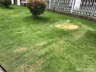 影響市容！江蘇丹陽這個小區汽車亂停……