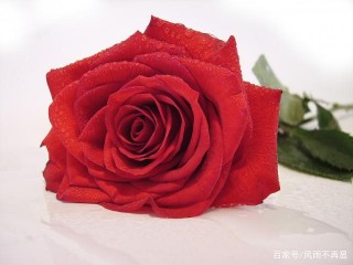 明天過後，前任回眸，真心依舊，三星座重燃愛火，再結琴瑟之好！