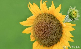 6月，痛徹心扉，真情錯付，斷絕過往，絕不回頭的3個星座