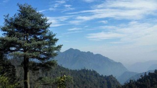 廣東人氣很高的公園，是珍稀動植物寶庫，是國家4A級旅遊景區