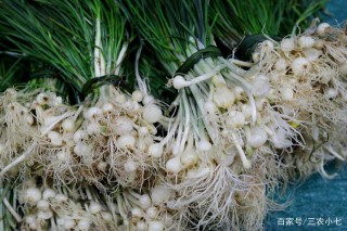 農村過年必備的美食，不是雞鴨鵝，而是一種植物野菜