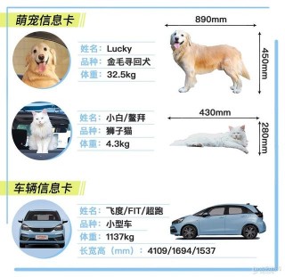 這麼小的車竟有這麼大的空間？貓和狗進了這台車居然互舔起來！