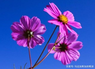 財運延綿不絕，運勢大吉的3星座，年初開始，喜獲豐收