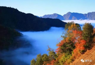 成都周邊2日遊新路線！千畝金色稻田+漫山紅葉彩林，都不收門票