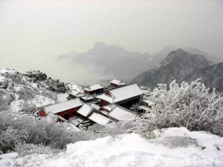 如此養生保健，就是視生命為兒戲！養生保健，要收割多少智商稅？