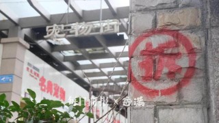 要拆了！杭州這個開了近20年的市場下周一關停！有人過來一口氣買了六只小貓！還有人要撿便宜嗎？