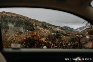 2020年旅遊，如何做好個人防護！記住5要5不要！安全又安心