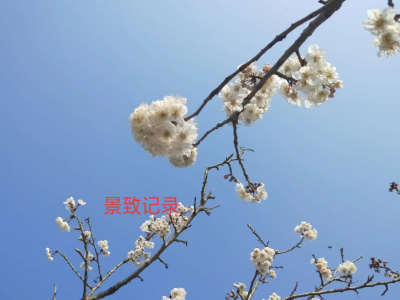 景致記錄：明朝旅行家徐霞客，在貴州晴隆威山，看見過海市蜃樓