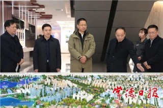謝衛江來常德調研文化旅遊工作