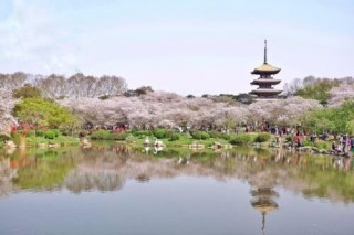 武漢旅遊複蘇，33個景點免費遊，黃鶴樓、遊輪都免費，出遊省千元
