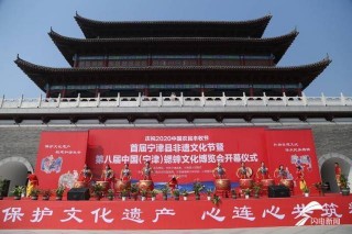 40秒｜蟋蟀爭霸非遺展演 寧津非遺文化節暨（寧津）蟋蟀文化博覽會開幕