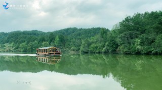 鼎龍集團｜融入“互動體驗型旅遊+”新格局 助推旅遊多元化發展