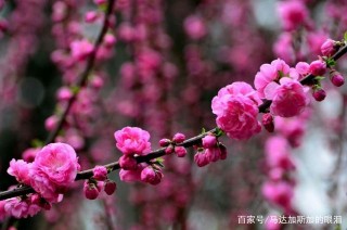 30號開始，運勢回暖，事業穩步提升的3星座，成就輝煌人生