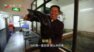 「嶽陽味道美食季」壹號大鍋灶｜鐵山魚頭燉羊肉：一鍋魚羊鮮 濃濃家鄉情