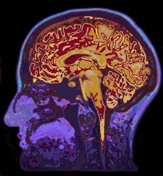 如何概括不同歷史時期？21世紀：生命科學和心靈科學的世紀