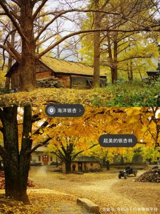 桂林旅遊攻略，秋天拍照景點大全，國慶中秋旅遊攻略