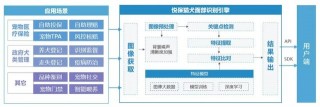 貓臉識別｜到底是啥貓？「AI識寵」一拍就知道